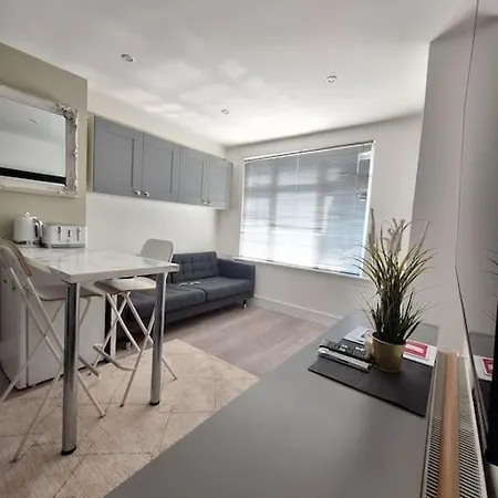 Vakantiehuis Luxury House In Dublin